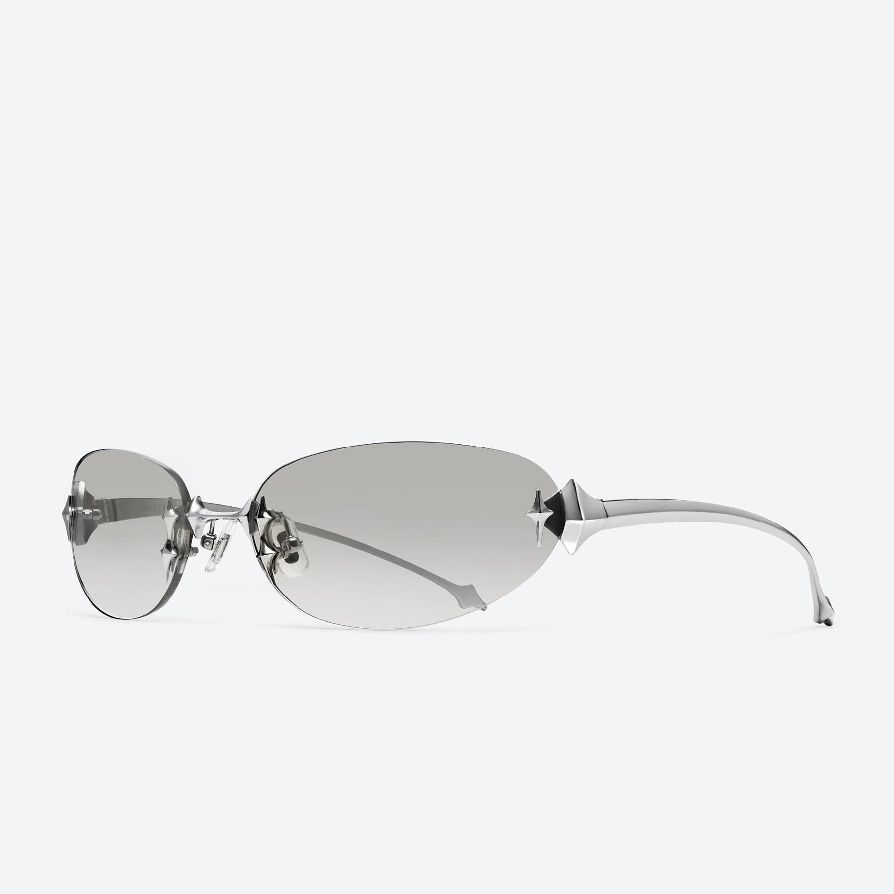 Tta 02(BRG) Silver / Brown