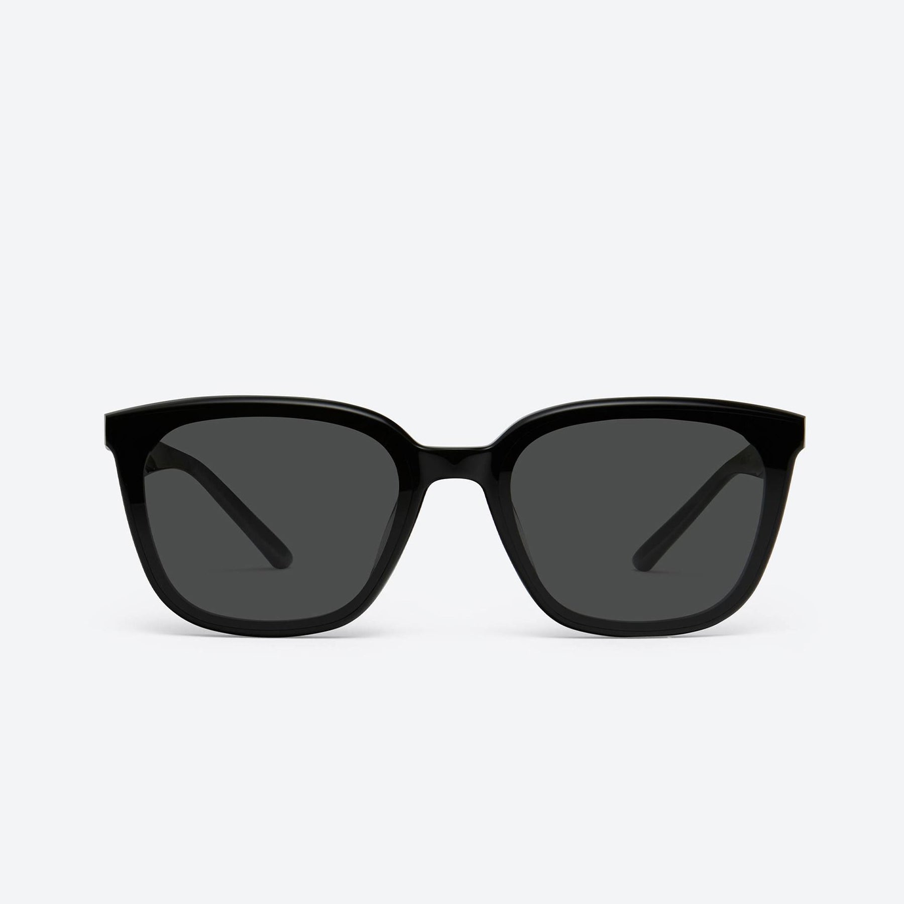 Pino 01 Black / Black