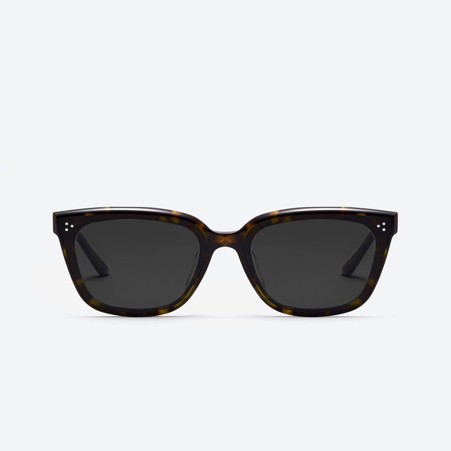 Numer T1 Tortoise / Black